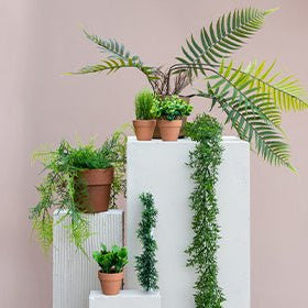 Decoratie - Van Erkel Winkelmaterialen