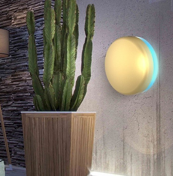 Insectenvanger design wandmodel - Ø296mm - Goud - Van Erkel Winkelmaterialen