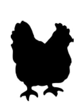 Krijtwand bord in de vorm van een kip