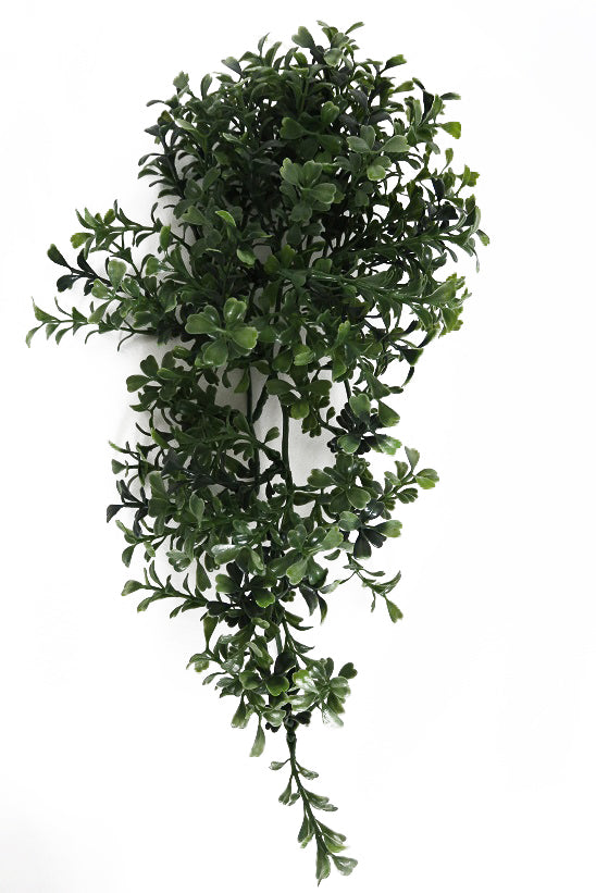 Toonbankgroen