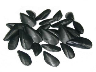 Decoratie mosselen van plastic, 70x30mm