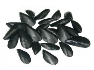 Mosselen (24st) - 70x30mm - Van Erkel Winkelmaterialen