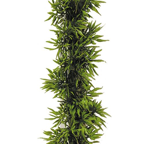 Toonbankstrip liguster (12st) - 250mm - Groen - Van Erkel Winkelmaterialen