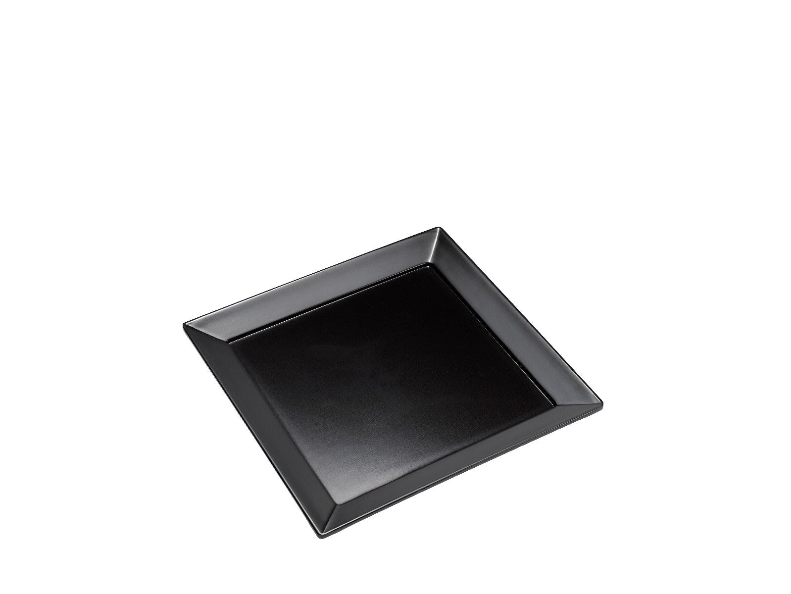 *Zwart bord - 300x300x25mm - Zwart - Van Erkel Winkelmaterialen