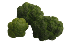 *Broccoliroosjes (3st) - Groen - Van Erkel Winkelmaterialen