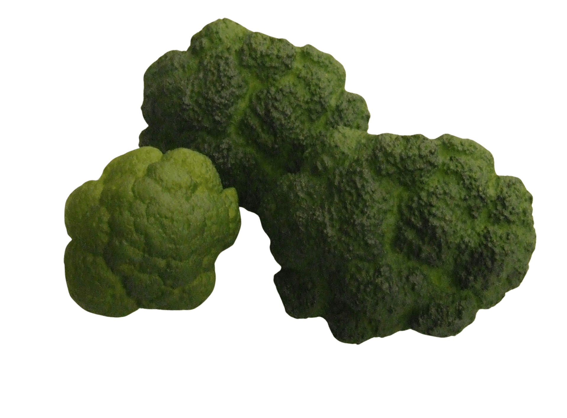 *Broccoliroosjes (3st) - Groen - Van Erkel Winkelmaterialen