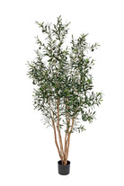 Decoratie, olijfboom - 1500mm - Groen - Van Erkel Winkelmaterialen