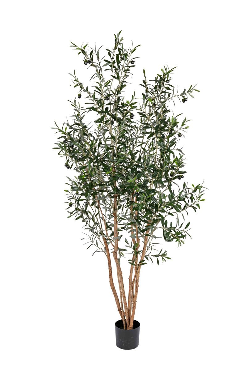Decoratie, olijfboom - 1500mm - Groen - Van Erkel Winkelmaterialen