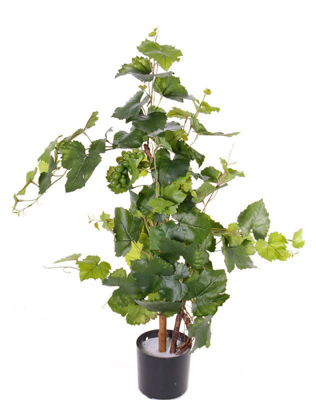 Druivenplant - 900mm - Groen - Van Erkel Winkelmaterialen