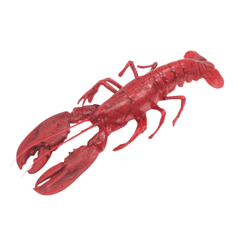 Kreeft groot - 300x130mm - Rood - Van Erkel Winkelmaterialen