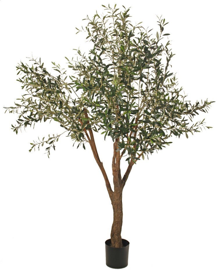 Olijfboom - 2000mm - Groen - Van Erkel Winkelmaterialen