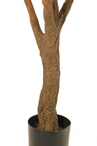 Olijfboom - 2000mm - Groen - Van Erkel Winkelmaterialen