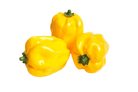 Paprika (3st) - 85x110mm - Geel - Van Erkel Winkelmaterialen
