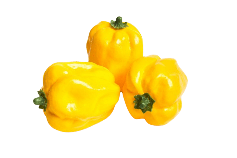 Paprika (3st) - 85x110mm - Geel - Van Erkel Winkelmaterialen