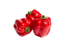 Paprika (3st) - 85x110mm - Rood - Van Erkel Winkelmaterialen