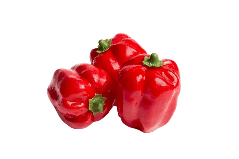 Paprika (3st) - 85x110mm - Rood - Van Erkel Winkelmaterialen