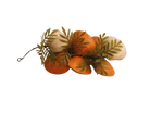 Schelpen streng - 280mm - Oranje - Van Erkel Winkelmaterialen