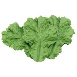 Slablad decoratie (16st) - 130x185mm - Groen - Van Erkel Winkelmaterialen