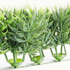 Toonbankstrip liguster (12st) - 250mm - Groen - Van Erkel Winkelmaterialen