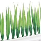 Decoratie groen strips gras