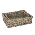 Mand grijs rotan met handvaten