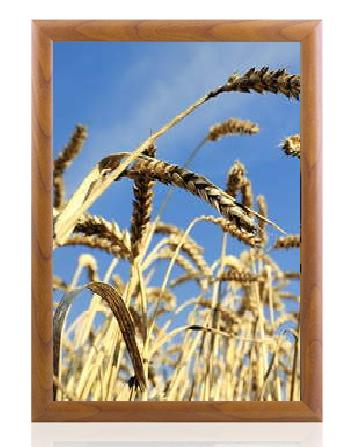 *Kliklijst houtlook (binnen gebruik) - 210x297mm (A4) - Bruin - Van Erkel Winkelmaterialen