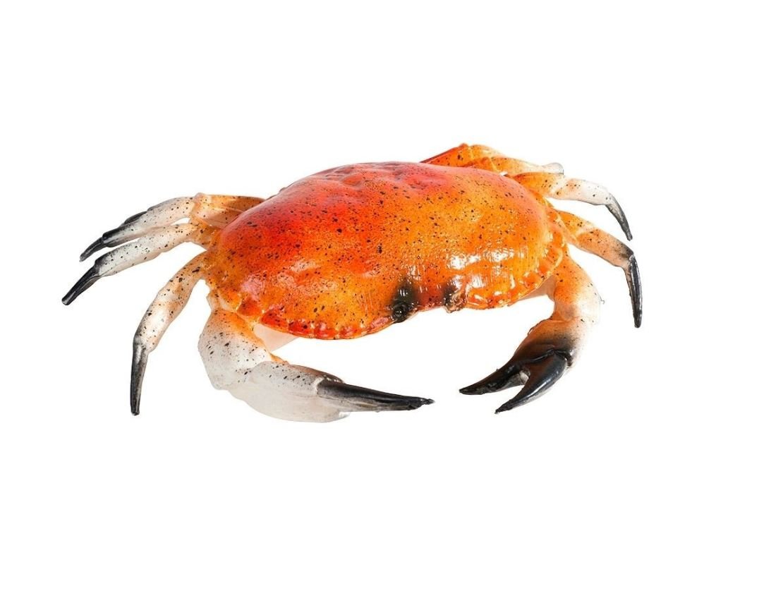 Krab groot - 320x220mm - Van Erkel Winkelmaterialen