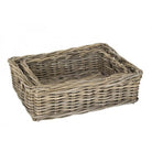 Mand (met handvatten) - 450x350x140mm - Van Erkel Winkelmaterialen