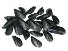 Mosselen (24st) - 70x30mm - Van Erkel Winkelmaterialen