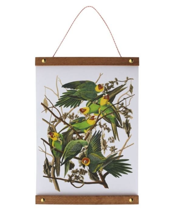 Posterklem hout - 600mm - Van Erkel Winkelmaterialen