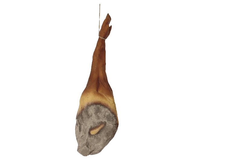 Serrano ham - 660x220mm - Bruin - Van Erkel Winkelmaterialen