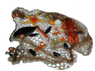 Visnet met 13 zeedieren - 2000x1500mm - Van Erkel Winkelmaterialen
